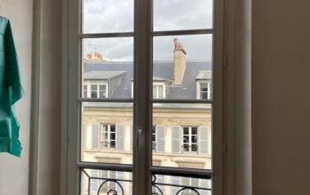 Fenêtres bois cintrées Versailles 78000